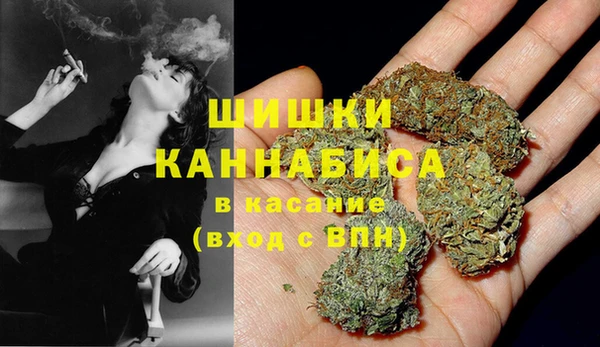 бутират Белокуриха