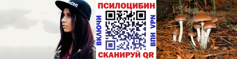 Псилоцибиновые грибы прущие грибы  купить   Бутурлиновка 