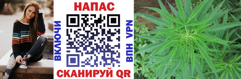 Каннабис гибрид  закладка  Бутурлиновка 